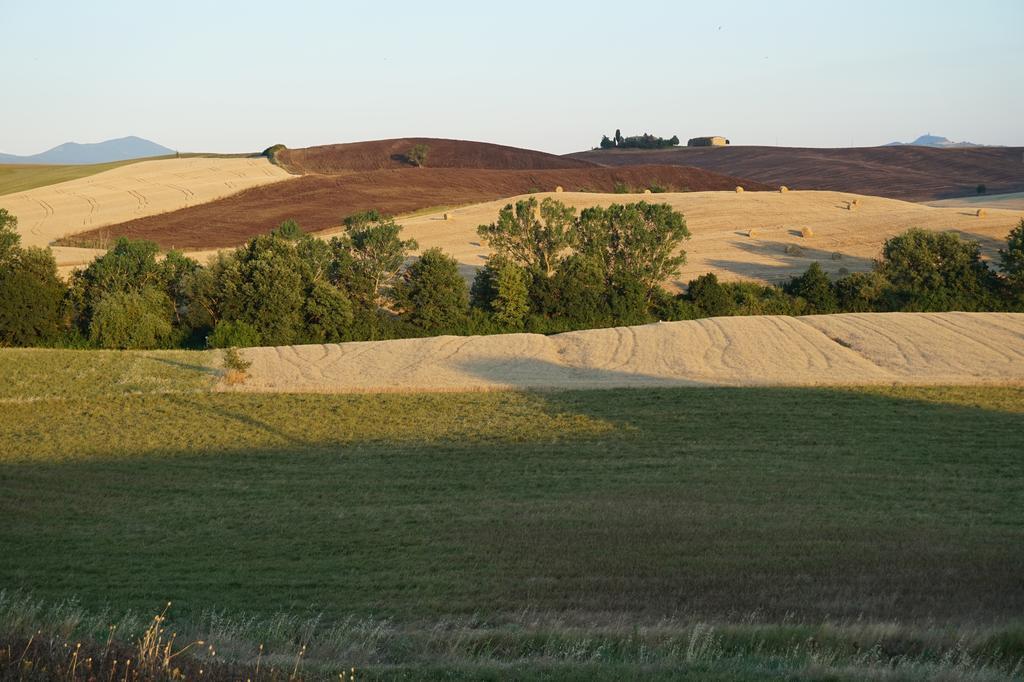 Camere Andrei Pienza Exterior photo