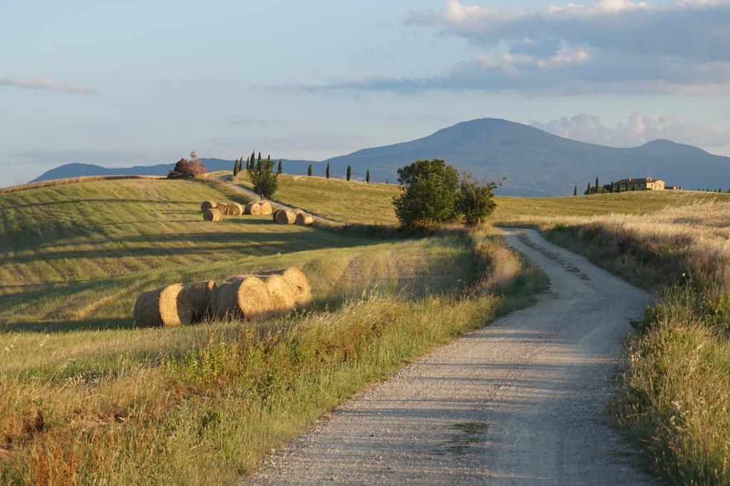 Camere Andrei Pienza Exterior photo